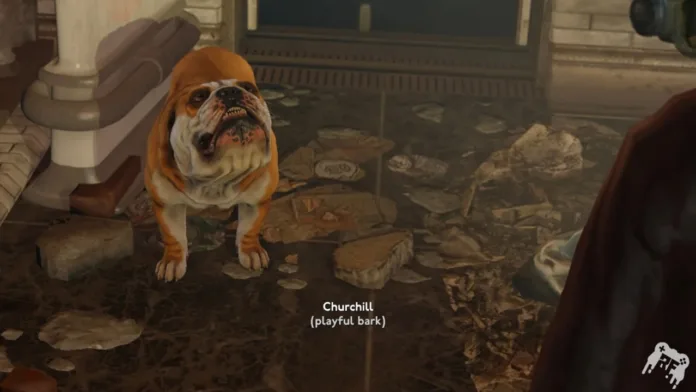 How To Adopt Churchill the Dog In Fallout London