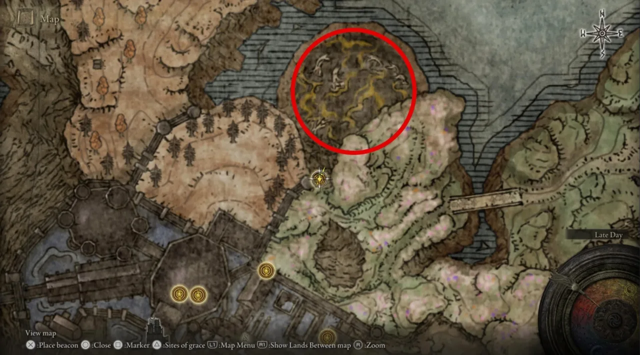 Miquella's Great Rune location map